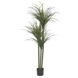 sztuczna-roslina-doniczkowa-198-cm-dracaena-anita-lumarko