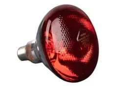 promiennik-podczerwieni-zarowka-175-w-par38-czerwona-can-agri