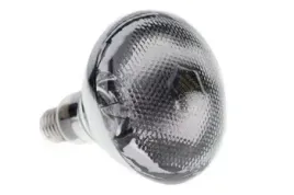 promiennik-podczerwieni-zarowka-175-w-par38-biala-can-agri