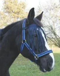 naczolek-z-fredzelkami-dla-konia-granatowy-roz-cob-covalliero