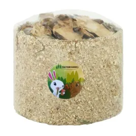 factoryherbs-wege-box-cykoria-tunel-warzywny-dla-krolikow-i-gryzoni