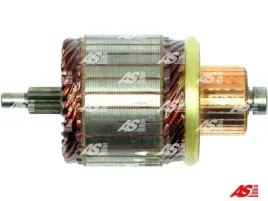 wirnik-rozrusznika-sa2019-ast