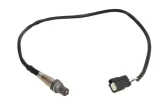 sonda-lambda-466016355179