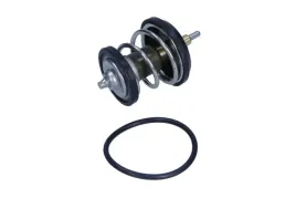 termostat-srodka-chlodzacego-352317102160-magneti