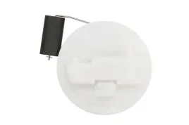 pompa-paliwa-modulowa-313011313162-magneti