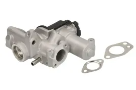 zawor-egr-nis-98199