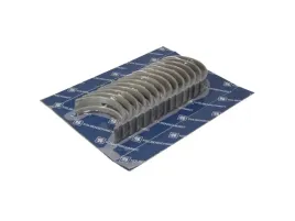 zestaw-panewek-walu-korbowego-77744610-kbs