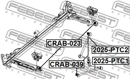 drazek-tyl-2025-ptc2-fbs