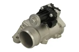 zawor-egr-98387-nis