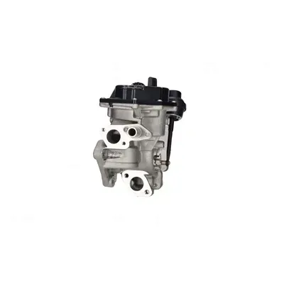 modul-egr-98325-nis