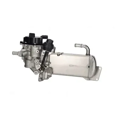 modul-egr-98325-nis