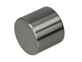 popychacz-zaworu-50007549-kbs