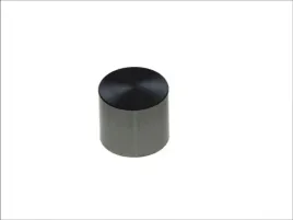 popychacz-zaworu-50007542-kbs