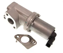 zawor-egr-98311-nis