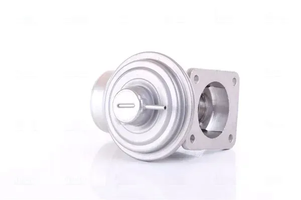 zawor-egr-98363-nis