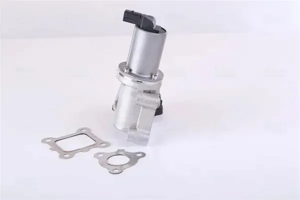 zawor-egr-98355-nis