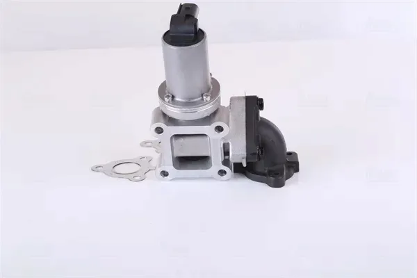 zawor-egr-98355-nis