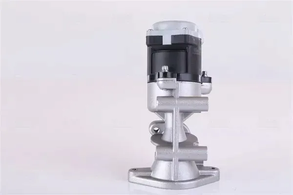 zawor-egr-98351-nis