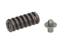 zestaw-montazowy-pompowtryskiwacza-pde-f00h4s0008-bos