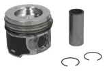 tlok-41813620-kbs