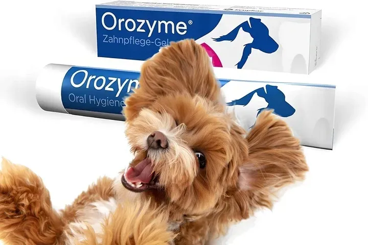 orozyme-gel-70g-nazwa-handlowa-orozyme-gel-70g