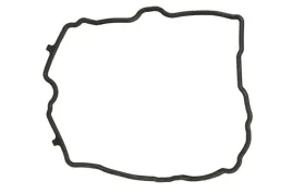 uszczelka-pokrywy-zaworow-780-320-elr