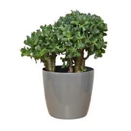doniczka-oslonka-szary-polysk-o36cm-okragla-tworzywo-sztuczne
