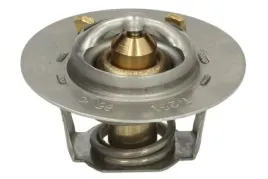 termostat-srodka-chlodzacego-d2is001tt
