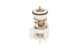 termostat-srodka-chlodzacego-d2a010tt