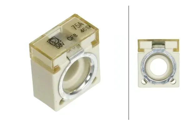 bezpiecznik-8js747-876-011