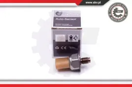 czujnik-cisnienia-paliwa-17skv583-skv