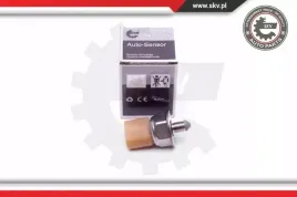 czujnik-cisnienia-paliwa-17skv581-skv