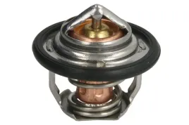 termostat-srodka-chlodzacego-d2ag019tt