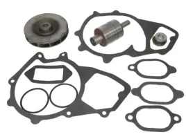 zestaw-naprawczy-pompy-cieczy-chlodzacej-wp-mn118rk