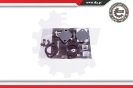 zestaw-naprawczy-zaworu-egr-14skv562-skv