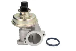 zawor-egr-7-24809-07-0-pie