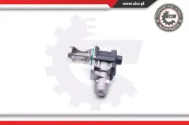 zawor-egr-14skv172-skv