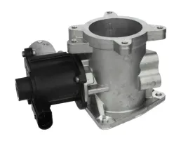 zawor-egr-7-00823-06-0-pie