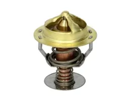 termostat-srodka-chlodzacego-d2cu001tt