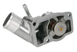 termostat-srodka-chlodzacego-d2x024tt