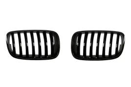 atrapa-l-p-pasuje-do-bmw-x5-e70-02-07-04-10-6502-07-0096990p