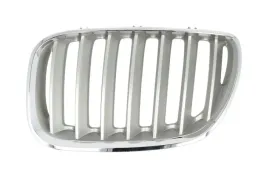 atrapa-l-pasuje-do-bmw-x5-e53-12-03-12-06-6502-07-0095997p