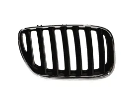 atrapa-p-pasuje-do-bmw-x5-e53-12-03-12-06-6502-07-0095996p