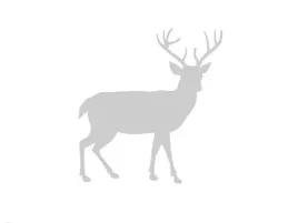 odblaskowa-srebrna-naklejka-mysliwska-na-samochod-byk
