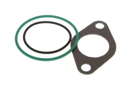 zestaw-uszczelek-systemu-agr-934-820-elring