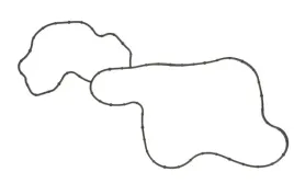 uszczelka-pompy-cieczy-chlodzacej-890-780-elring