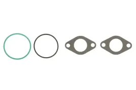 zestaw-uszczelek-systemu-agr-934-860-elring