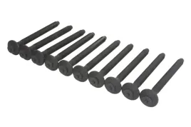 zestaw-srub-glowicy-cylindrow-481-900-elr
