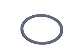 uszczelka-rury-wydechowej-550-941-fis