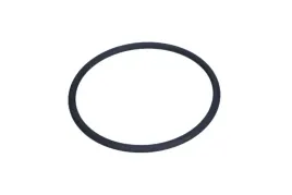 pierscien-tlumika-715x795x40-121-971-fis